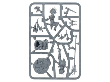 Realmgore Ritualist (предзаказ 2025, Age of Sigmar)
