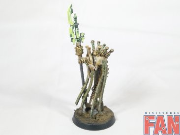 Warhammer 40000 Necron Plasmancer (Pro-Painted)