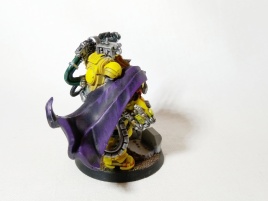Warhammer 40k Primaris Space Marine Imperial Fists Tor Garadon (Pro-Painted)