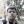 Воротников Вадим