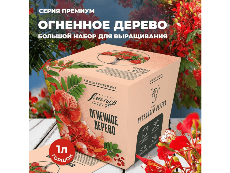 Тысяча листьев Премиум: Делоникс Королевский