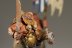 Warhammer Fantasy Battles Ogres (99120213011) x5 (Painted)