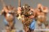 Warhammer Fantasy Battles Ogres (99120213011) x5 (Painted)