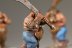 Warhammer Fantasy Battles Ogres (99120213011) x5 (Painted)