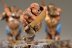 Warhammer Fantasy Battles Ogres (99120213011) x5 (Painted)