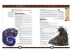Pathfinder. Настольная ролевая игра. Вторая редакция. Приключение &quot;Злоба&quot;