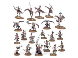 Vanguard: Hedonites of Slaanesh (Age of Sigmar) (предзаказ 2025)