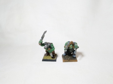 Warhammer Fantasy Age of Sigmar Orcs & Goblins Orc Boyz x10 (Pro-Painted)