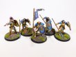 Warhammer Age of Sigmar Stomrcast Eternals Vindictors x5 (Pro-Painted)