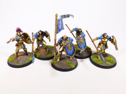 Warhammer Age of Sigmar Stomrcast Eternals Vindictors x5 (Pro-Painted)