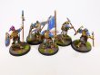 Warhammer Age of Sigmar Stomrcast Eternals Vindictors x5 (Pro-Painted)