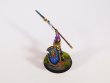 Warhammer Age of Sigmar Stomrcast Eternals Vindictors x5 (Pro-Painted)