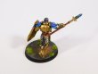 Warhammer Age of Sigmar Stomrcast Eternals Vindictors x5 (Pro-Painted)