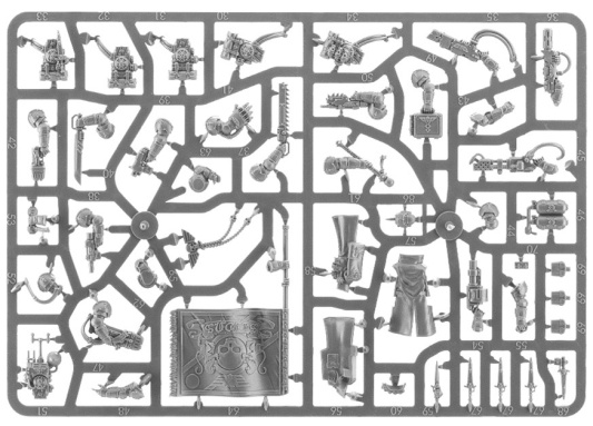 Tempestus Scions / Command Squad