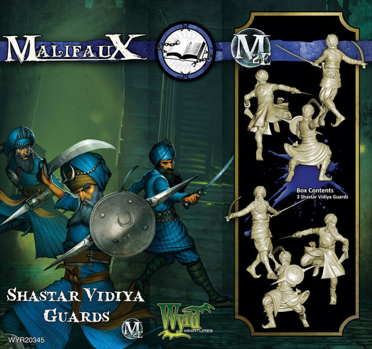 Shastar Vidiya Guards