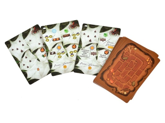 Настольная игра Эверделл: Туманный лес