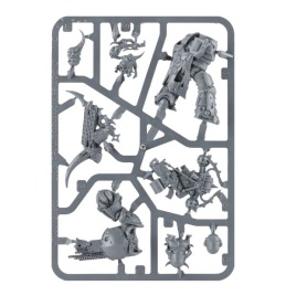 Plague Marine Champion 2021