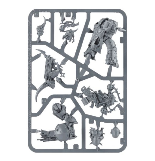 Plague Marine Champion 2021