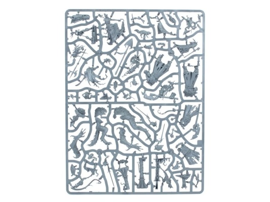 Warhammer Quest: Cursed City (предзаказ 2025)