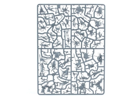 Warhammer Quest: Cursed City (предзаказ 2025)