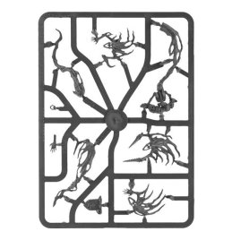 Spirit Hosts