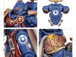 Primaris Captain (Space Marines, Warhammer 40k)