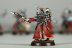 Warhammer 40k Adeptus Mechanicus Skitarii Vanguard x10 (99120116002) (Painted)