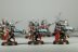 Warhammer 40k Adeptus Mechanicus Skitarii Vanguard x10 (99120116002) (Painted)