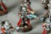 Warhammer 40k Adeptus Mechanicus Skitarii Vanguard x10 (99120116002) (Painted)