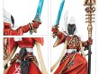 Combat Patrol: Aeldari (предзаказ 2025)