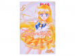 Sailor Moon: Pretty Guardian. Том 5