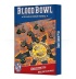 Blood Bowl: Chaos Chosen Pitch &amp; Dugouts
