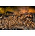 Codex: Tau Empire 2015