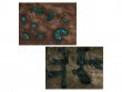 Ravaged Lands: Scales of Talaxis (предзаказ 2023, Warcry)