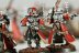 Warhammer 40k Adeptus Mechanicus Skitarii Rangers x10 (99120105046) (Painted)
