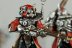 Warhammer 40k Adeptus Mechanicus Skitarii Rangers x10 (99120105046) (Painted)