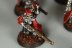 Warhammer 40k Adeptus Mechanicus Skitarii Rangers x10 (99120105046) (Painted)