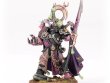 Emperor’s Children Army Set: Champions of Slaanesh (предзаказ 2025)