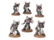 Emperor’s Children Army Set: Champions of Slaanesh (предзаказ 2025)