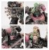 Emperor’s Children Army Set: Champions of Slaanesh