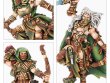 Waywatchers (предзаказ 2025, GW Direct)