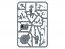 Realmgore Ritualist (предзаказ 2023, Age of Sigmar)