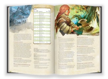 Dungeons &amp; Dragons:  Книга игрока