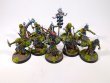 Warhammer Age of Sigmar Orruk Warclans Hobgrot Slittaz x10 (Pro-Painted)