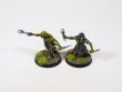 Warhammer Age of Sigmar Orruk Warclans Hobgrot Slittaz x10 (Pro-Painted)