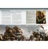 War Zone Damocles: Kauyon