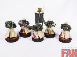 Warhammer 40k Dark Angels Veteran Marines x5 (Pro-Painted)