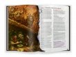 Dungeons & Dragons. Руководство мастера подземелий
