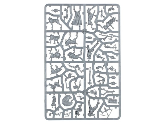 Warcry: Hunter and Hunted