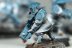 Warhammer 40k Tau Empire Fire Warriors x13 (99120113057) (Painted)